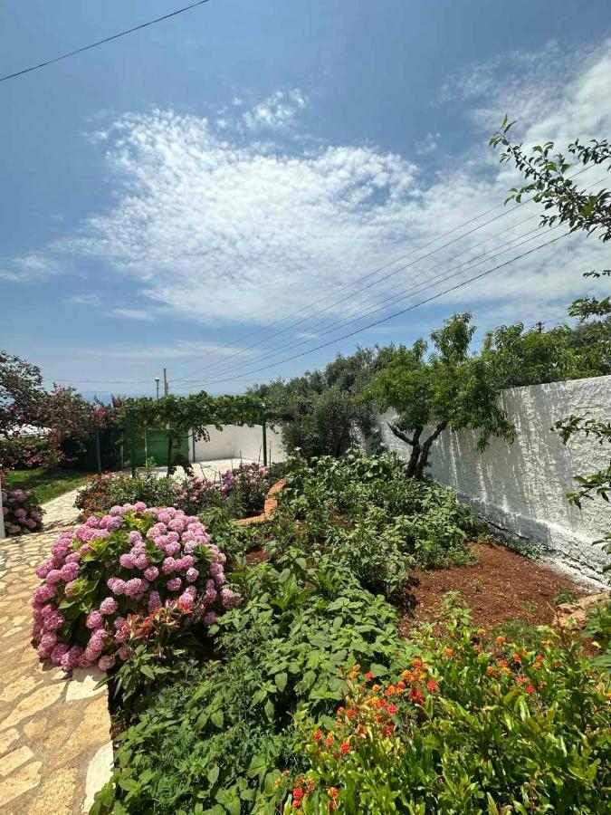 Xheko Rooms Dhermi Exterior photo